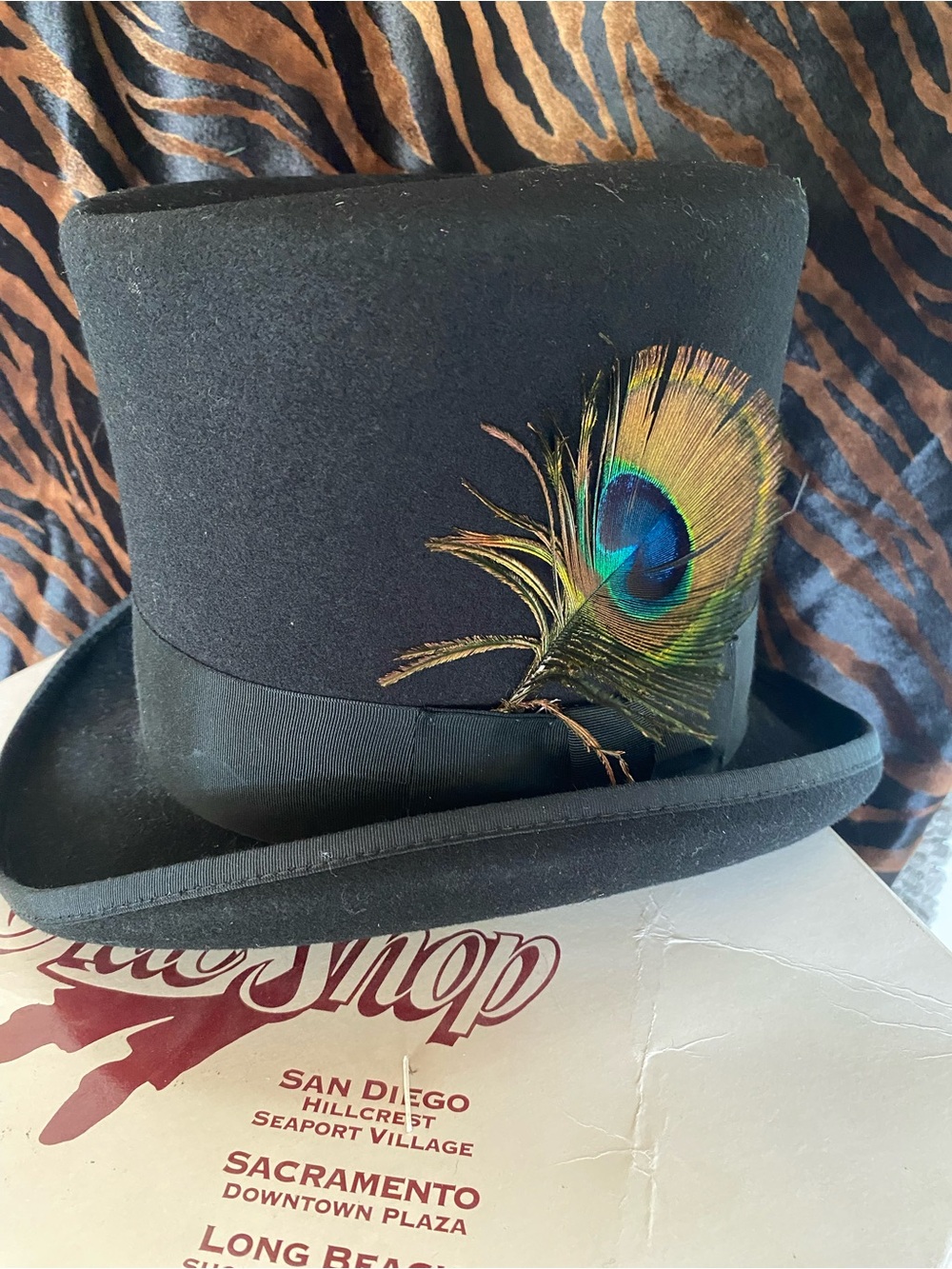 Top Hat - Picture 7 of 8